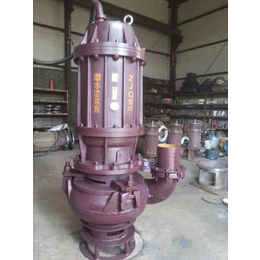 马鞍山ZJQ300-60-110潜水污泥泵、北工泵业