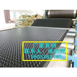 上海车库*排水板塑料建筑排水板厂家*