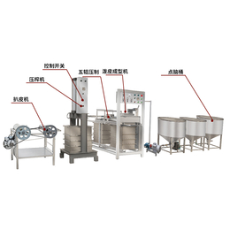 广西豆腐干成型机 盛隆高产能商用豆腐干机占地面积小操作简单