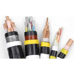 聚氯乙稀绝缘电力电缆、泸州电力电缆、三阳线缆(查看)