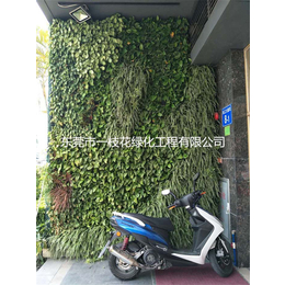 建筑植物墙-东莞市一枝花绿化工程-建筑植物墙报价