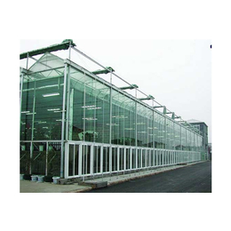 玻璃智能温室大棚建设-渭南玻璃智能温室-瑞青农林