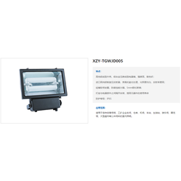 杭州投光灯价格,才晟照明(在线咨询),投光灯