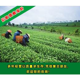 贤峰茶叶(图)、有机茶叶的厂家、湖北有机茶叶