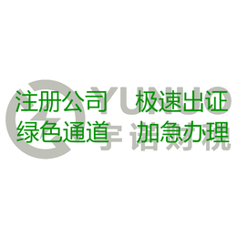 广州南沙公司注册 代理记账 零元注册  财务咨询等