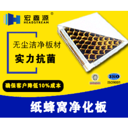 玻镁岩棉净化板价格|北京净化板价格|宏鑫源(在线咨询)