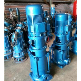 DL型多级泵价格、强盛泵业、海南DL型多级泵