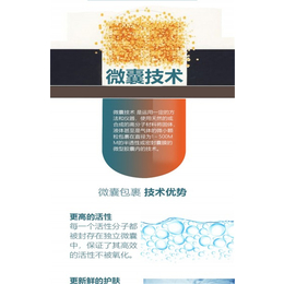 妆泽化妆品oem(图),**皱精华oem,清远市精华oem