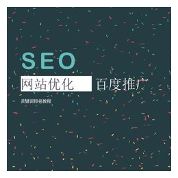 企业网站seo推广优化|东联网络(在线咨询)|萝岗seo推广