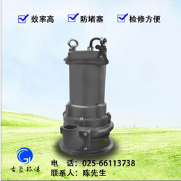 丽水泵_南京古蓝环保设备企业_泥浆泵