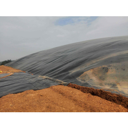长兴厂家生产氧化塘HDPE土工膜保质保量