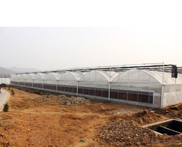 薄膜温室大棚-合肥建野(在线咨询)-安徽薄膜温室