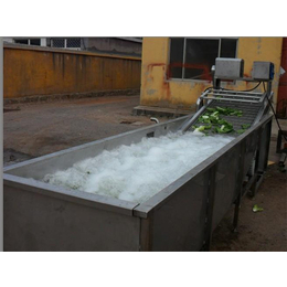 江苏水产品清洗设备-山东三智机械-水产品清洗设备厂家
