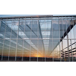 玻璃温室大棚、齐鑫温室园艺、玻璃温室大棚价格