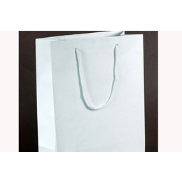 纸质手提袋怎样做-泰安飞腾包装(在线咨询)-泰安纸质手提袋