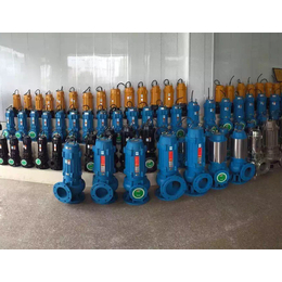 北工泵业,牡丹江100WQ45-15-5.5自动搅匀排污泵