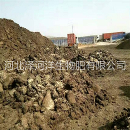 贵州羊粪肥、泽河洋有机肥I厂、发酵羊粪肥