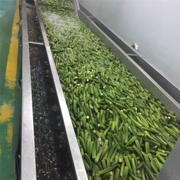 惠州蔬菜清洗风干机-诸城广盈机械-蔬菜清洗风干机制造商