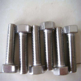 广州地脚螺栓,不锈钢地脚螺丝厂家,304材质地脚螺栓