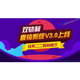 辽宁沈阳直销软件 三级分销 网站建设 返利商城 虚拟货币