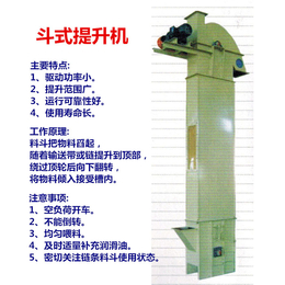 TD型斗式提升机-斗式提升机-大地机械(查看)