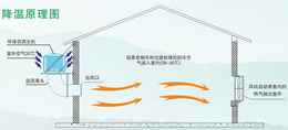 抚顺水帘降温-昊博环保机电-水帘降温哪家性能稳定