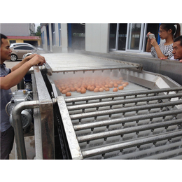 LX鸡蛋蒸煮线剥壳生产线-鸡蛋蒸煮线-诸城龙翔食品机械