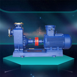 乌鲁木齐ZW80-40-25自吸式污水泵-ZW自吸泵选型