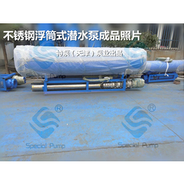天津浮筒式潜水泵生产厂家