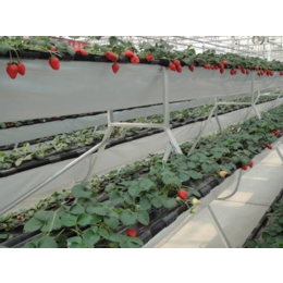 丹东PVC草莓种植槽-3层草莓栽培槽-厂家今日价格