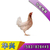 柴鸡厂家|华兴种禽青年鸡基地|廊坊柴鸡缩略图1