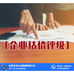 深圳企业估价评级-安徽宝鸿(在线咨询)-企业估价评级分析