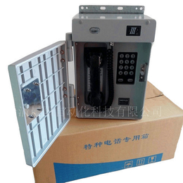 厂家现货供应HAT86-D型扩音防水电话