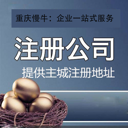 重庆公司注册 税务咨询 财税代理 一站式服务