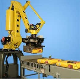 国产关节型智能6轴机械臂厂家价格实惠 搬运机器人 码垛机械手