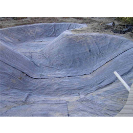 防水毯施工图片|德旭达土工材料(在线咨询)|防水毯