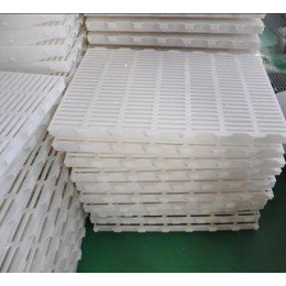 塑料漏粪板生产厂家_福霖养殖(在线咨询)_塑料漏粪板