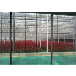 忻州温室|青州鑫华生态农业|日光温室