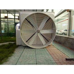 湿帘风机生产厂家,新希望机械设备(在线咨询),安阳湿帘风机