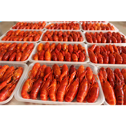 柳伍水产龙虾苗供应商(图)|小龙虾养值|泰州小龙虾