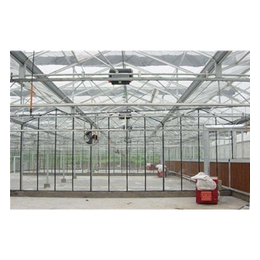 智能玻璃温室,菏泽玻璃温室,青州中泰温室