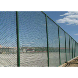 运动围栏网|兴顺发筛网生产厂家|运动围栏网材质