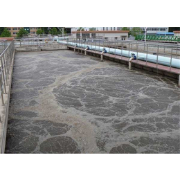 景区污水处理设备|贵州竞渡环保|花果园景区污水处理设备
