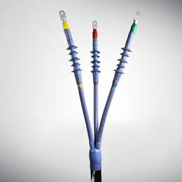 艾迪西(图)-10kv冷缩电缆终端-冷缩电缆终端