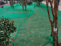 裸土覆盖绿网-南京裸土覆盖绿网-裸土覆盖绿网厂家