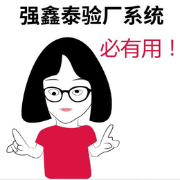 广东强鑫泰BSCI验厂系统自动算出符合验厂要求的工时工资