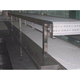 东丽区链板输送机-碳钢链板输送机生产厂家-润通机械(商家)
