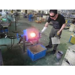金属熔炼炉图片-文山金属熔炼炉-郑州领诚电子技术