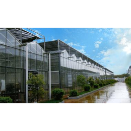 玻璃温室建设、鑫和温室园艺(在线咨询)、山东玻璃温室