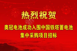 锂电池价格怎么计算-奥冠新能源(在线咨询)-信阳锂电池